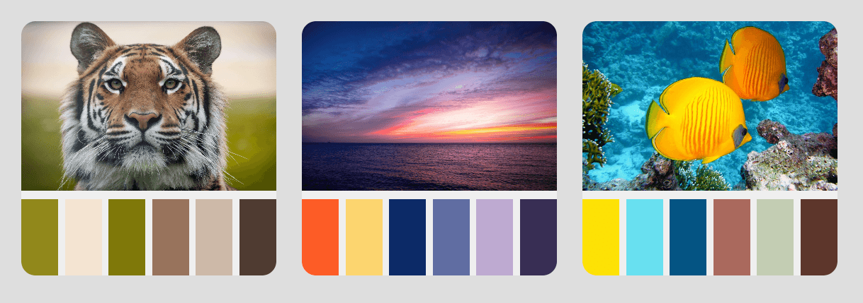 A screenshot of 4 custom palettes made on Photo.palette app