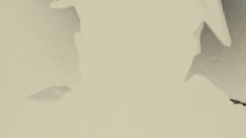 video clip of Kelsey Kuno kinetic type animated sequence