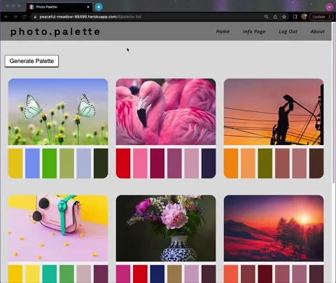 A video clip of a user scrolling through their photo.palette home page