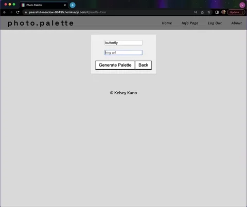A video clip of a user generating a color palette on photo.palette