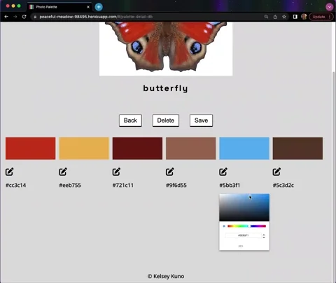 A video clip of a user editing one of their saved color palettes on photo.palette